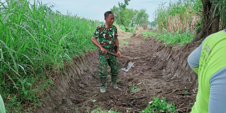 Babinsa Karang Gondang Bersama Warga Gotong Royong Bersihkan Jalan Akses Lahan Pertanian