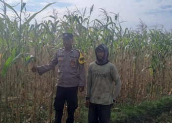 Lewat Aksi Nyata Bhabinkamtibmas Polres Kediri Kota, Desa Tarokan Bersiap Jadi Pelopor Mandiri Pangan