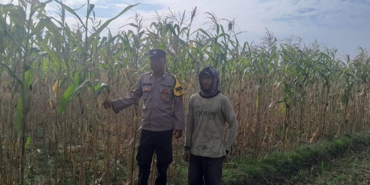 Lewat Aksi Nyata Bhabinkamtibmas Polres Kediri Kota, Desa Tarokan Bersiap Jadi Pelopor Mandiri Pangan