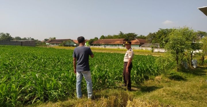 Dukung Asta Cita Presiden, Kanit Binmas Polsek Tarokan Terjun Langsung ke Sawah Pantau Petani