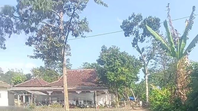 Judi Sabung Ayam, Desa Sidorejo , Sidomulyo Ponggok , Blitar Di duga Kebal Hukum