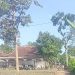 Judi Sabung Ayam, Desa Sidorejo , Sidomulyo Ponggok , Blitar Di duga Kebal Hukum