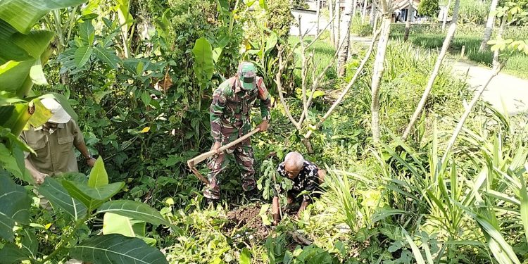 Lestarikan Alam, Babinsa Sidomulyo Sertu Deny Bersama Warga Gelar Aksi Tanam Pohon