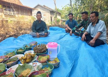 Babinsa Menyatu dengan Petani, Panen Padi Jadi Bukti Kepedulian