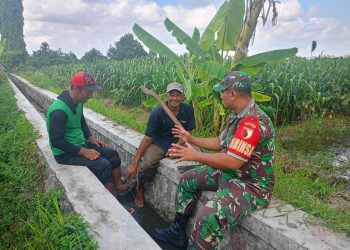 Serap Aspirasi Petani, Sertu Yudhi Rimba Gelar Komsos Ketahanan Pangan Bersama Poktan Kembang Kuning