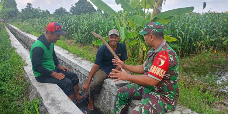 Serap Aspirasi Petani, Sertu Yudhi Rimba Gelar Komsos Ketahanan Pangan Bersama Poktan Kembang Kuning