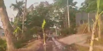 PROTES KERAS WARGA DESA BUTUN, GANDUSARI, BLITAR  WARNAI KERUSAKAN JALAN DENGAN ‘TANAM’ POHON PISANG DI SEPANJANG JALAN 