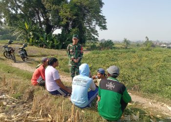 Perkuat Swasembada Pangan, Serda Fiyan Setyadi Gelar Komsos Bersama Poktan Sumber Makmur