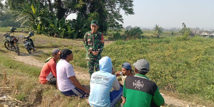Perkuat Swasembada Pangan, Serda Fiyan Setyadi Gelar Komsos Bersama Poktan Sumber Makmur