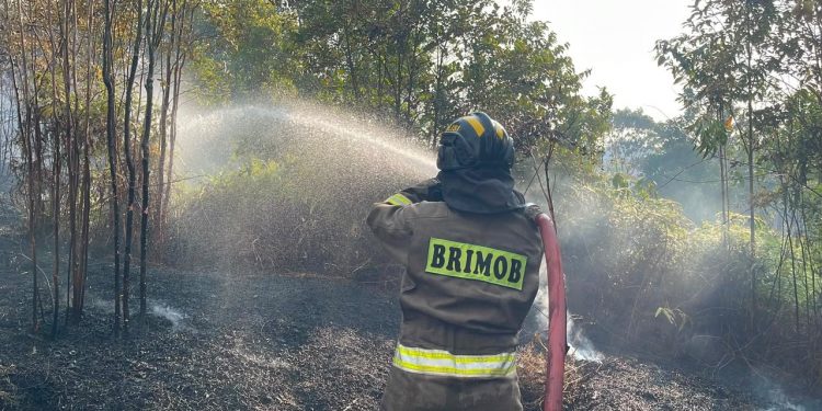 POLDA KEPRI BERSAMA TIM GABUNGAN BERHASIL PADAMKAN KARHUTLA 35 HEKTARE DI TRANS BARELANG