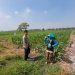 Pengecekan Lahan Tanaman Jagung dalam Rangka Mendukung Ketahanan Pangan