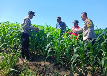 Dari Perawatan hingga Pengendalian Hama, Polsek Ngancar Dampingi Petani Babadan