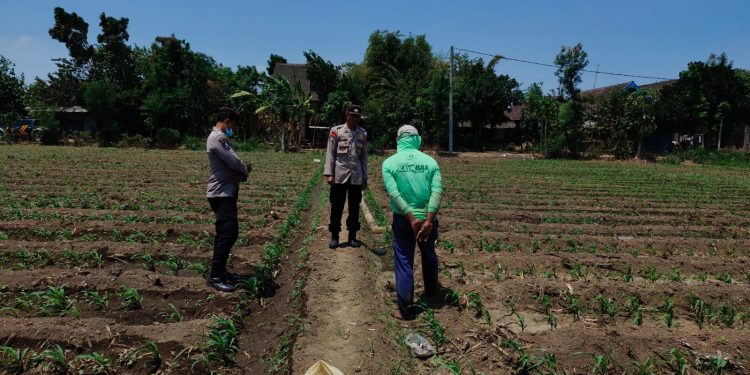 Bhabinkamtibmas Polsek Bandar Kedungmulyo Dukung Warga Optimalkan Pekarangan untuk Ketahanan Pangan