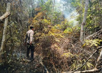 TIM GABUNGAN BERHASIL PADAMKAN KEBAKARAN LAHAN DI DESA MEPAR, LUAS TERBAKAR ± ½ HEKTARE