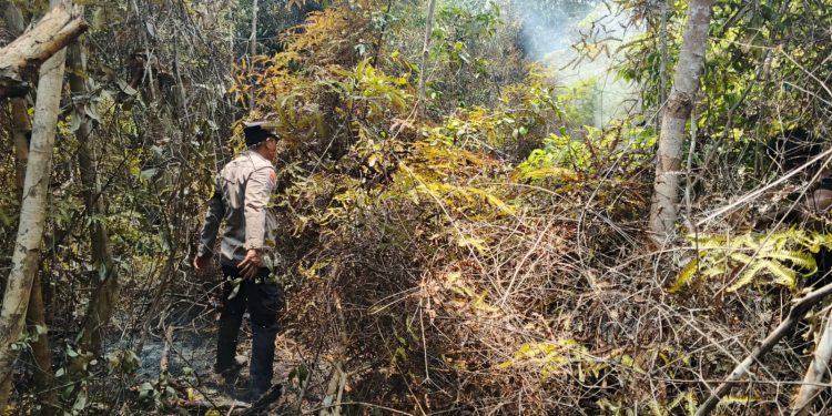 TIM GABUNGAN BERHASIL PADAMKAN KEBAKARAN LAHAN DI DESA MEPAR, LUAS TERBAKAR ± ½ HEKTARE