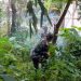 Babinsa Koramil Gandusari Bersama Warga Gotong Royong Bersihkan Lingkungan Demi Keselamatan Bersama