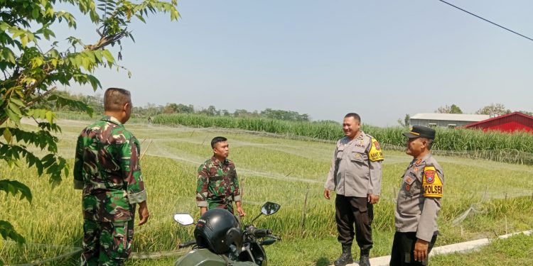 Pastikan Irigasi Lancar, Polsek Plosoklaten Dukung Produktivitas Petani